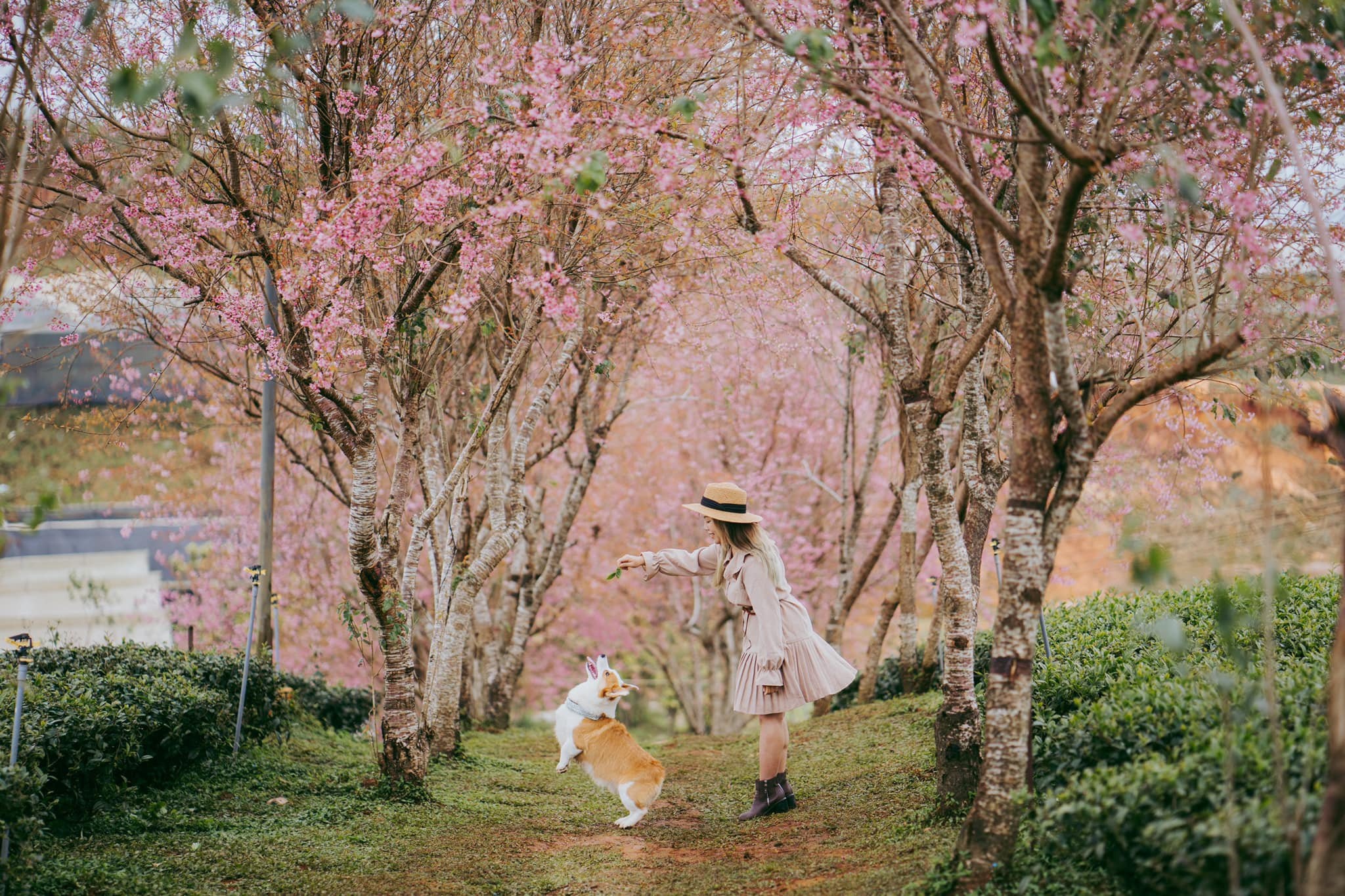 du lich da lat anh 1