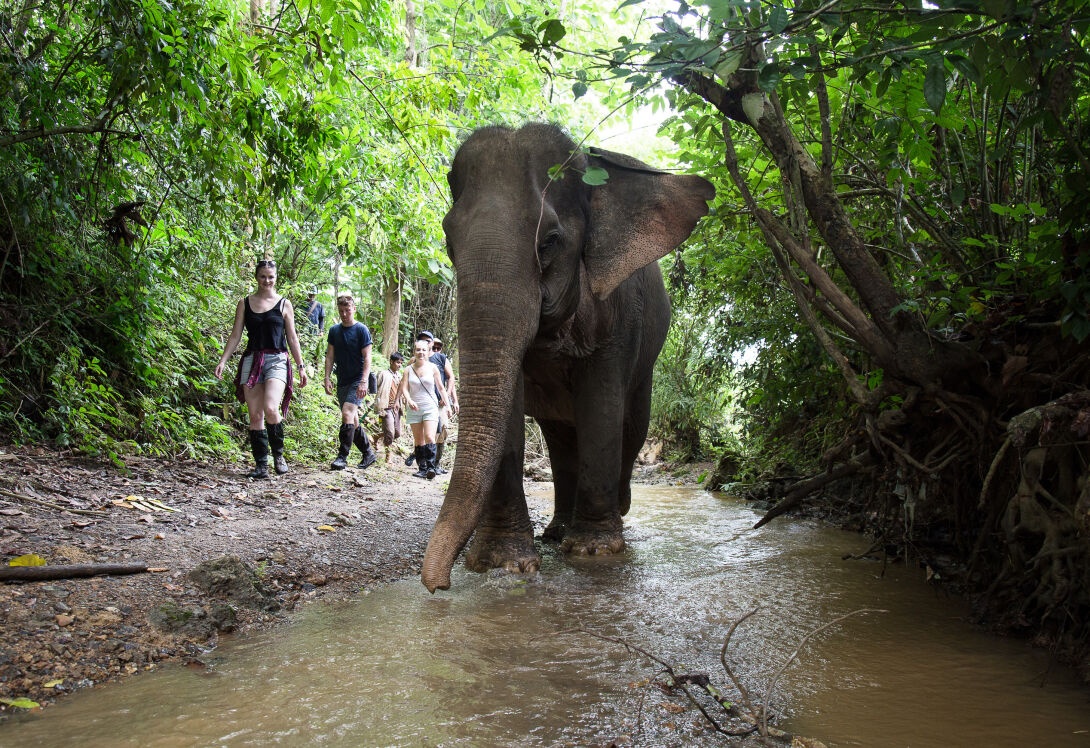 danh voi o dak lak anh 3