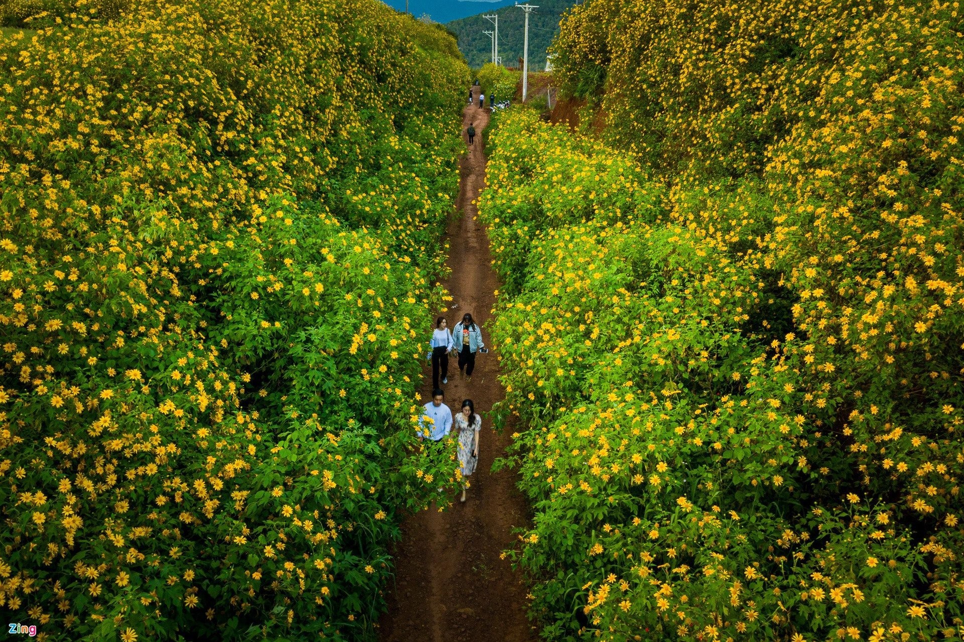 du lich da lat anh 2