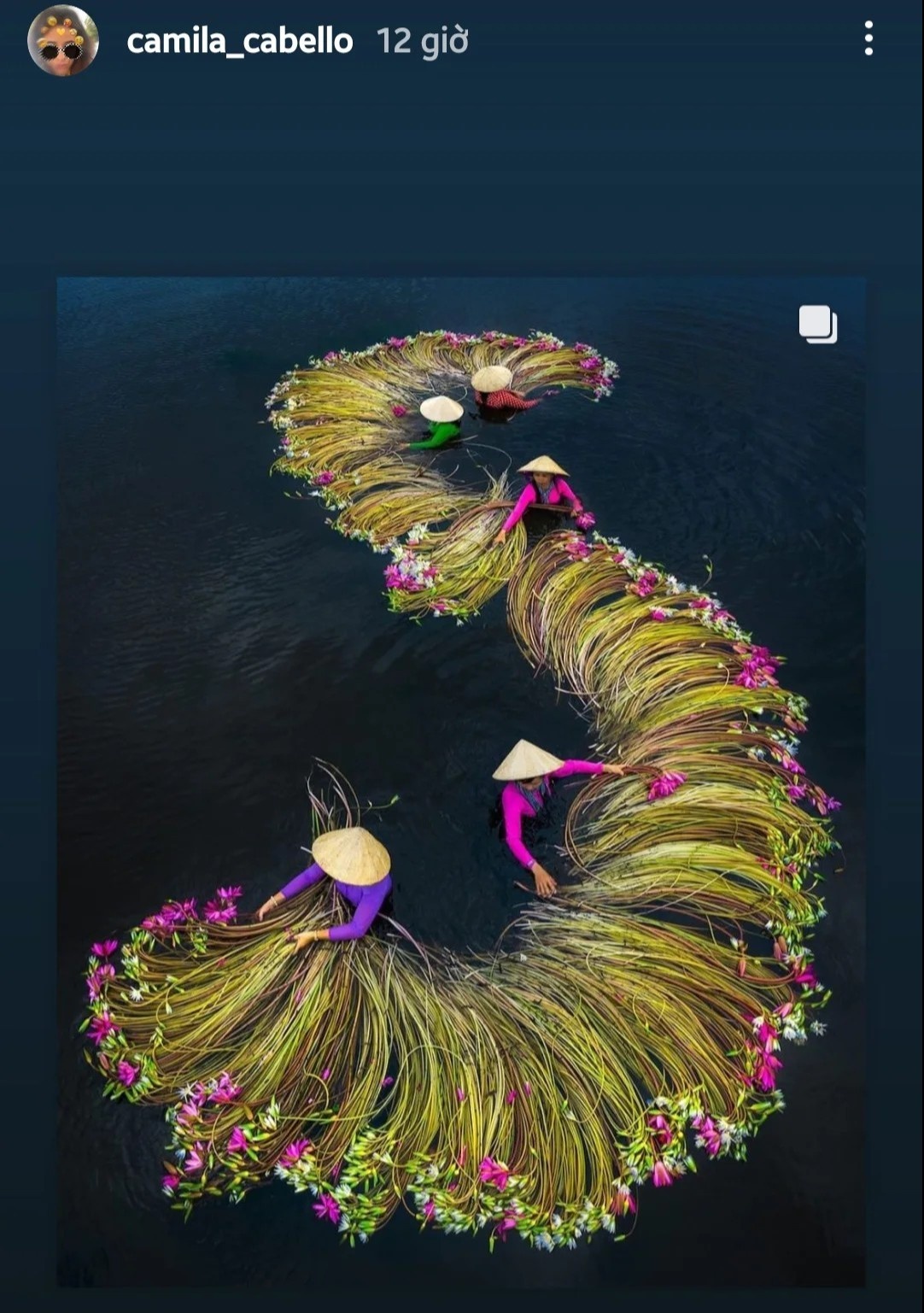 ca si camila cabello anh 1