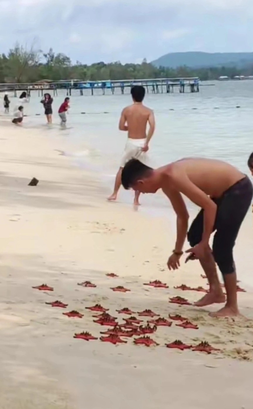 sao bien phu quoc anh 1