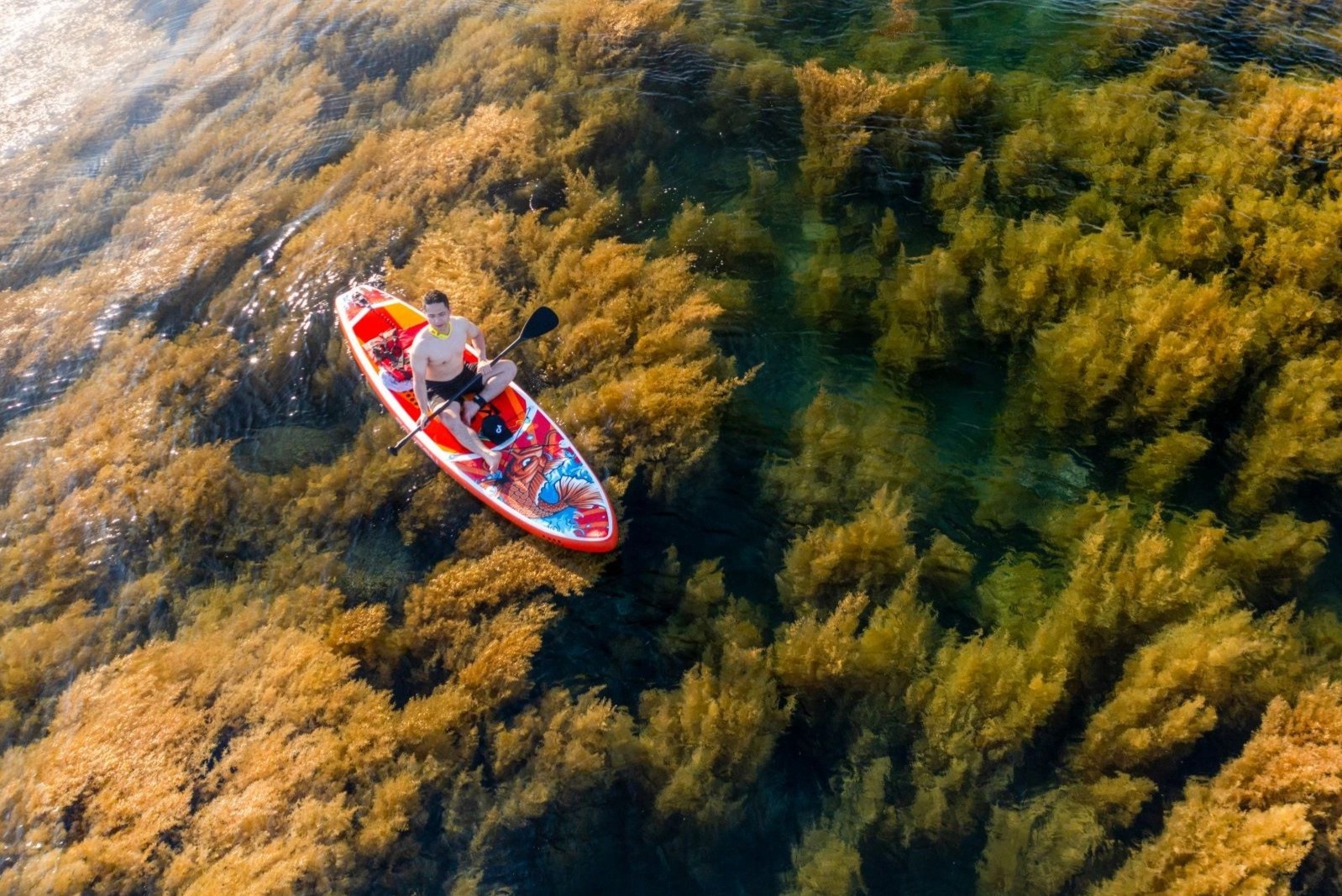 Mua rong bien tua canh dong duoi nuoc o Quy Nhon hinh anh
