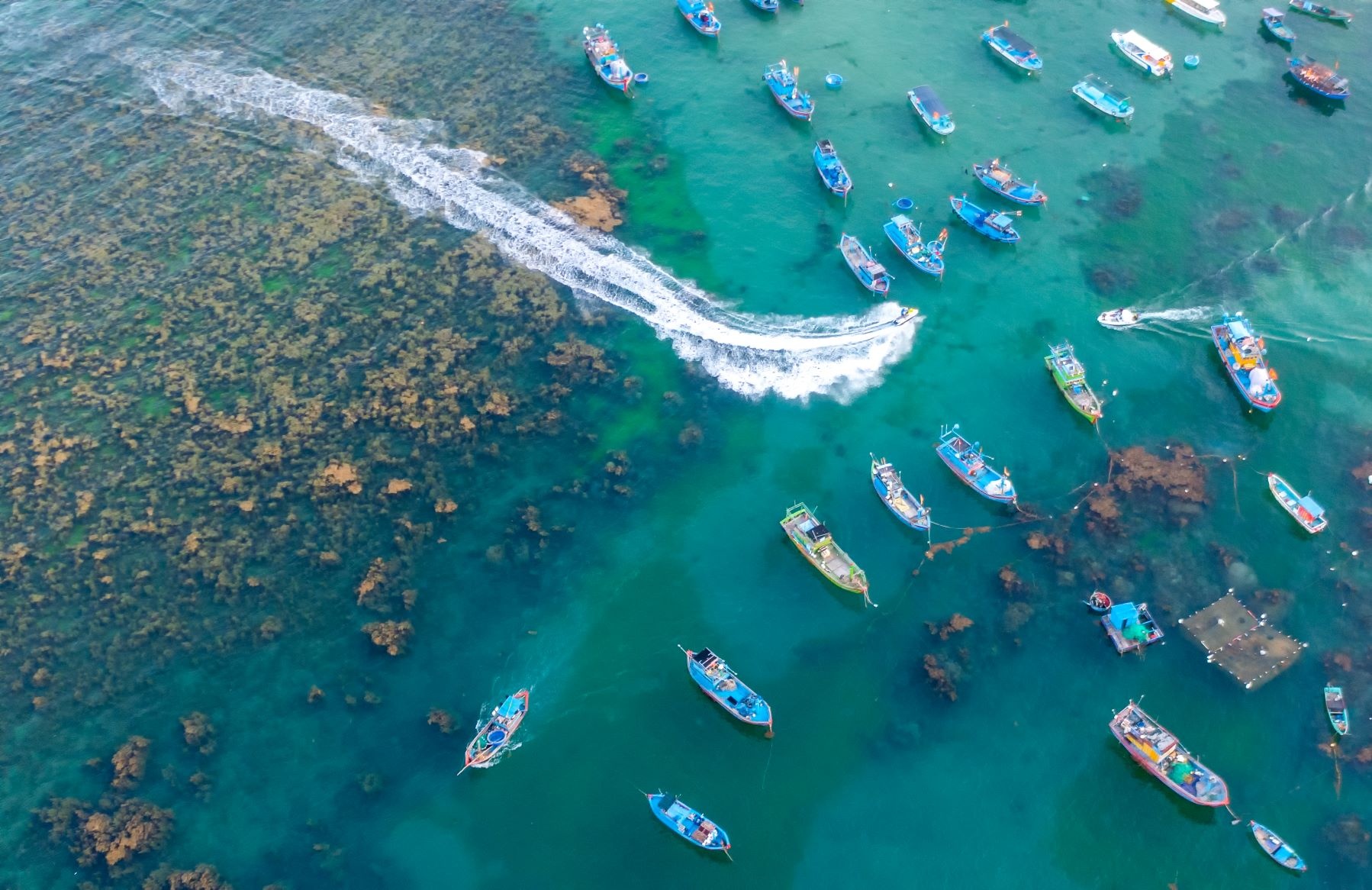 2 ty phu the gioi hua dua Binh Dinh thanh trung tam du lich sieu sang hinh anh