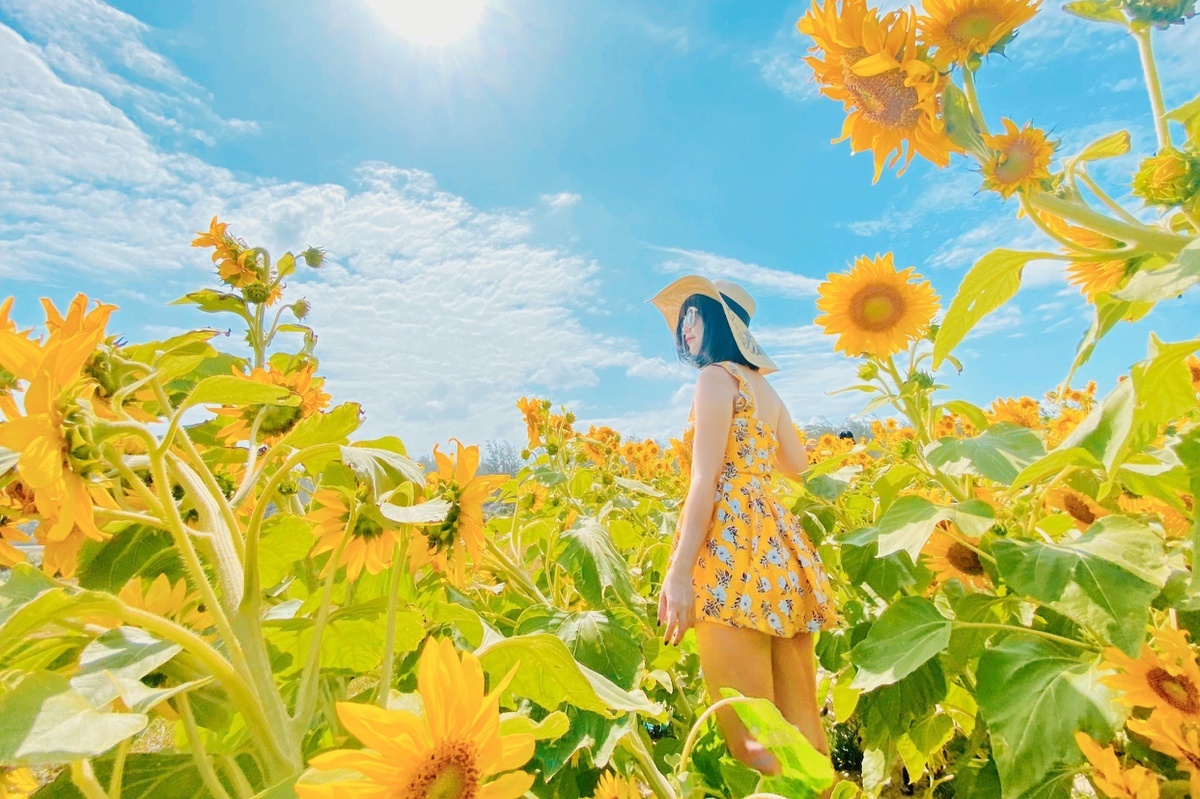 du lich phu yen anh 3