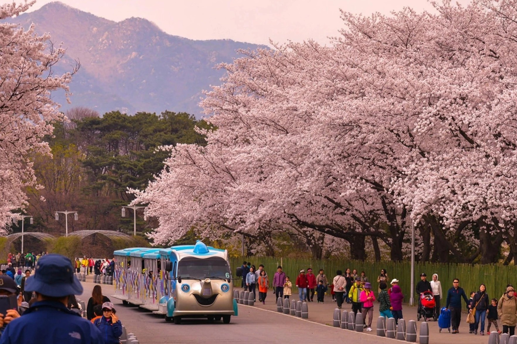 Bo tui loat diem den hap dan o Seoul, Gangwon hinh anh