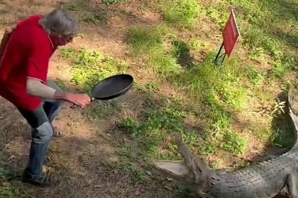 Chu nha nghi cam chao dap ca sau o Australia hinh anh