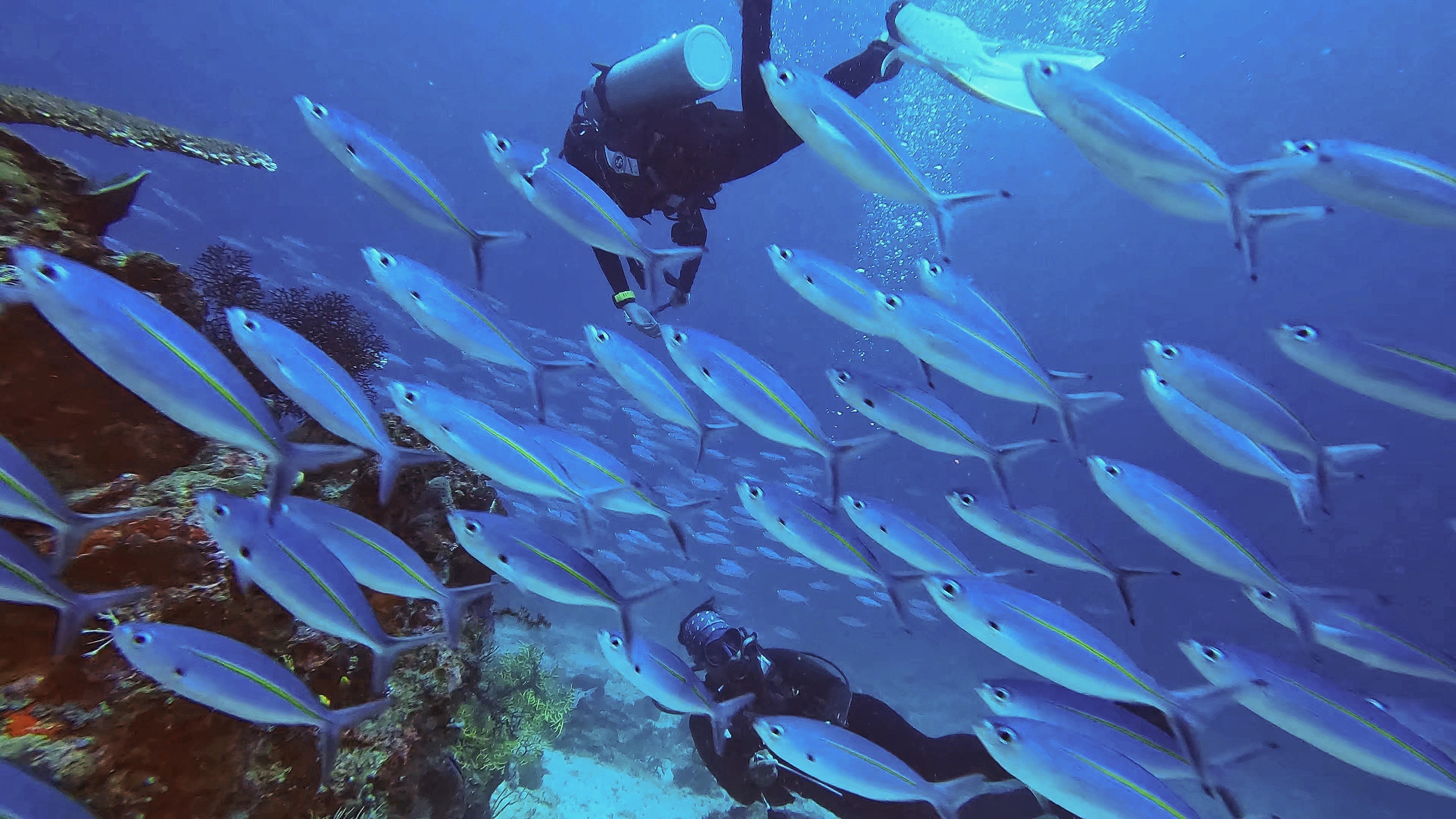 du lich indonesia anh 2