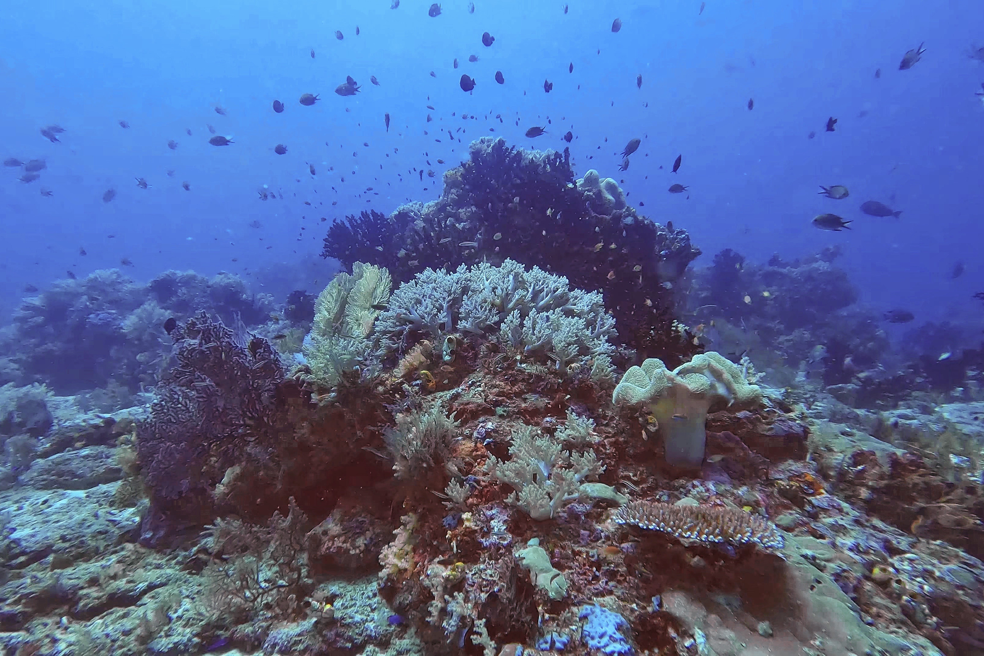 du lich indonesia anh 7