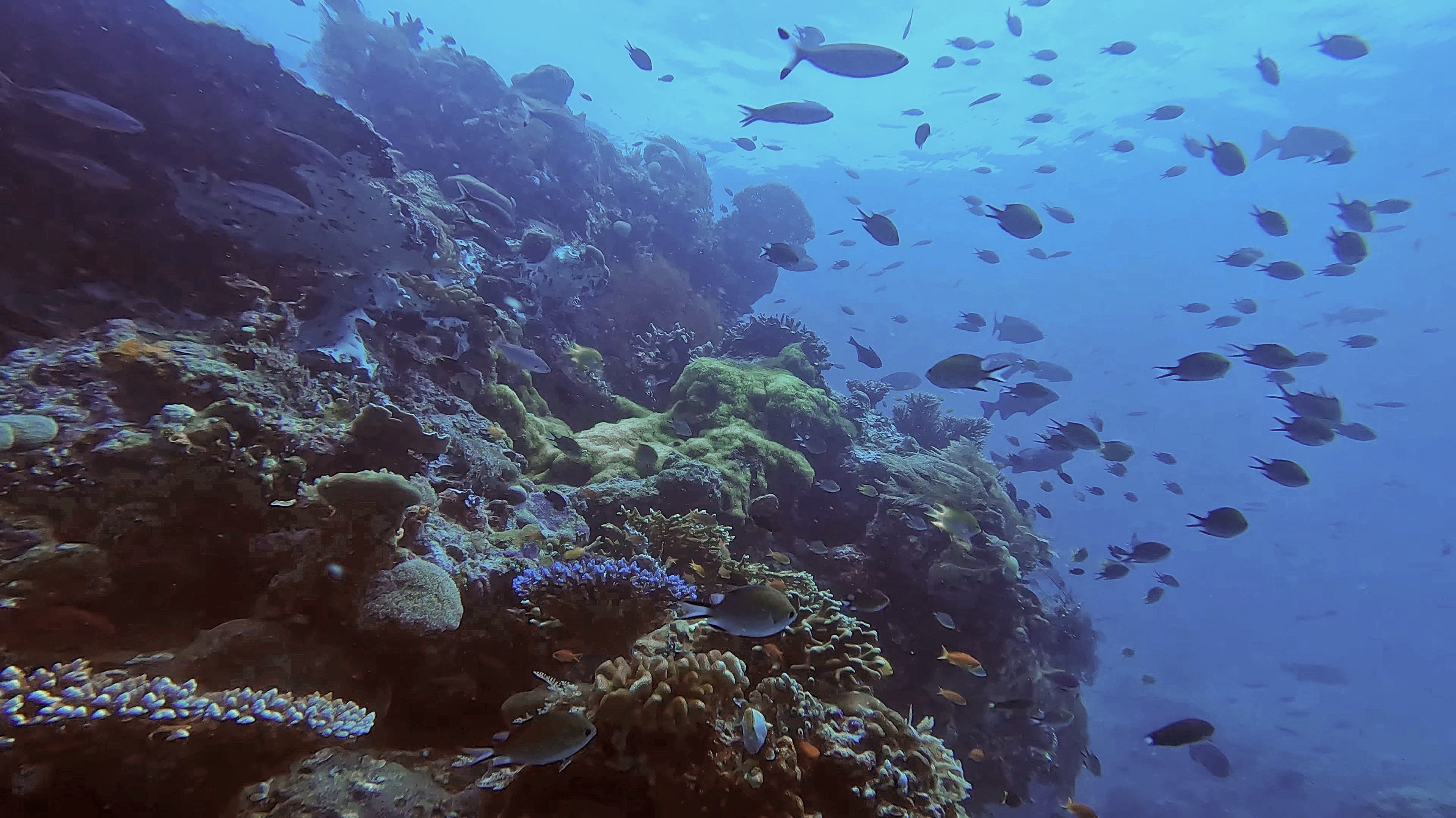 du lich indonesia anh 6