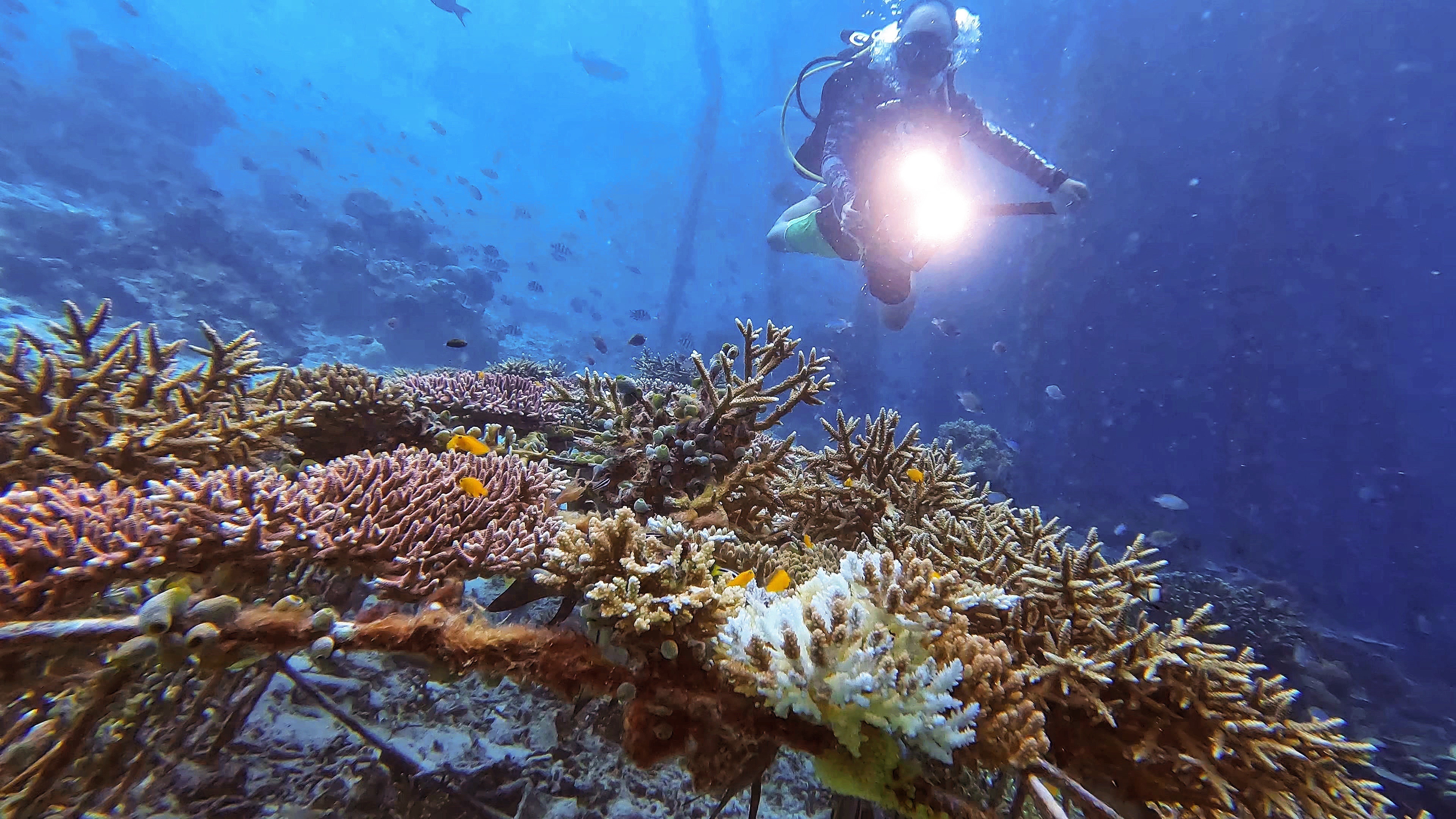 du lich indonesia anh 5