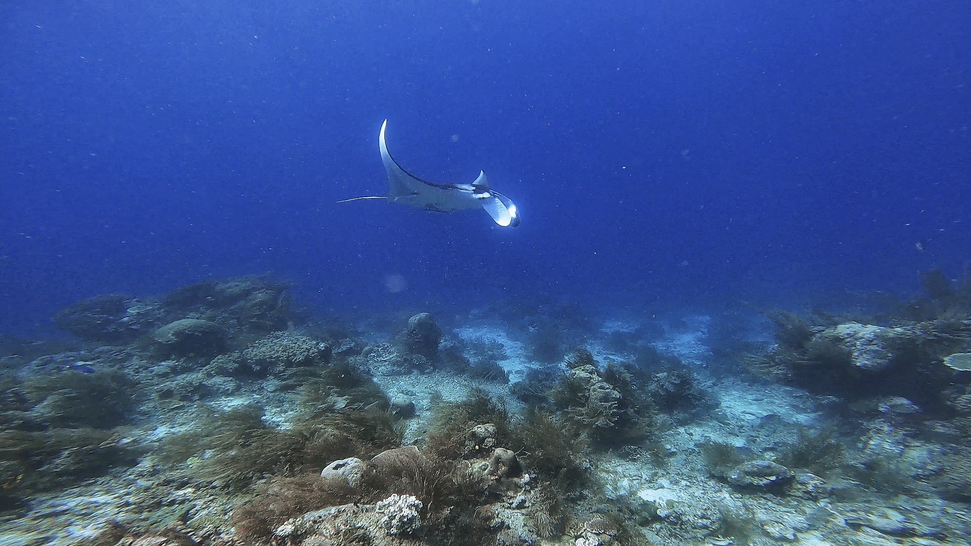 du lich indonesia anh 12