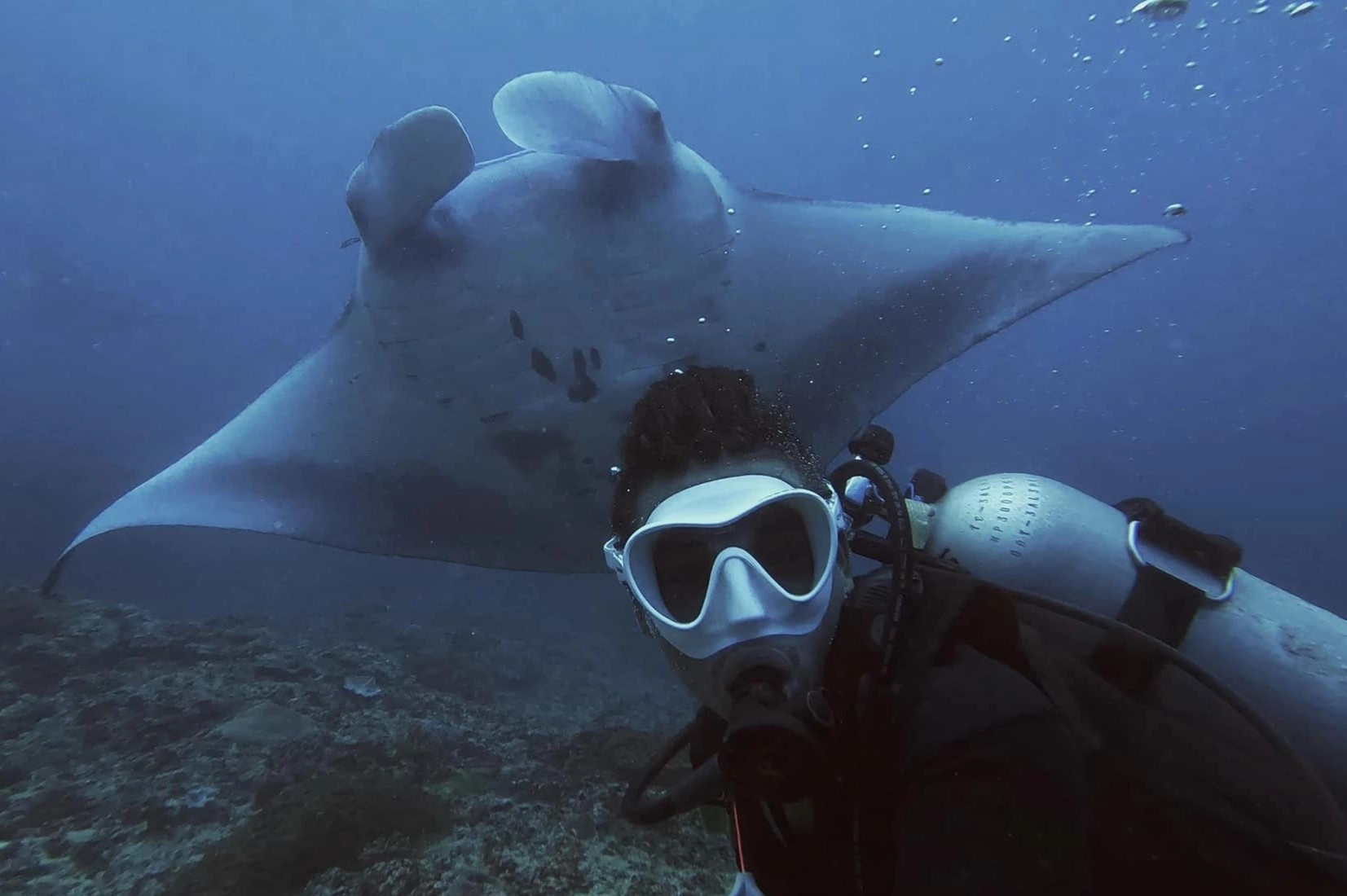 Du khach Viet lan dau thay ca duoi khong lo hinh anh