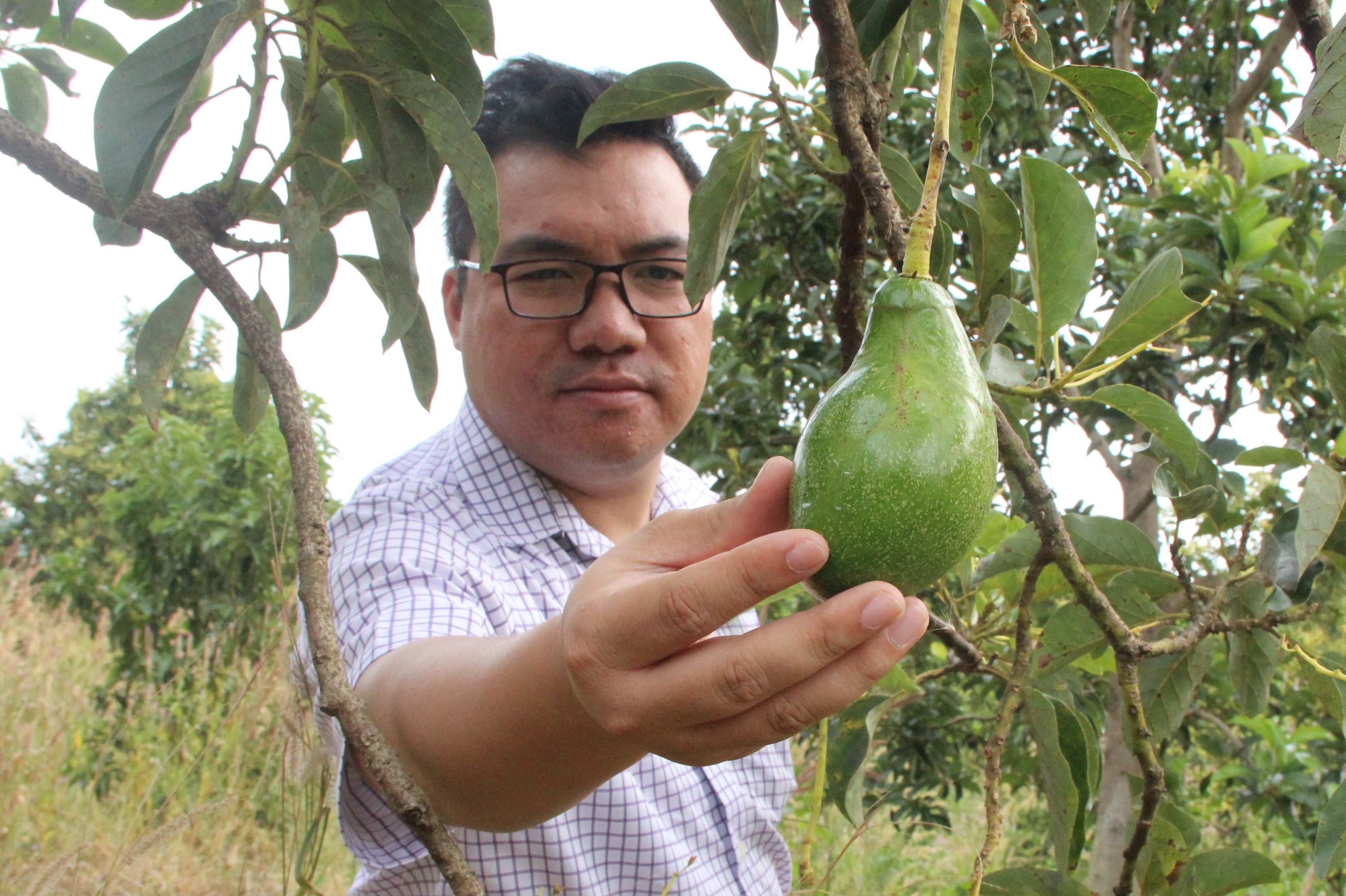 Kien truc su roi Phap ve Viet Nam ban bo hinh anh