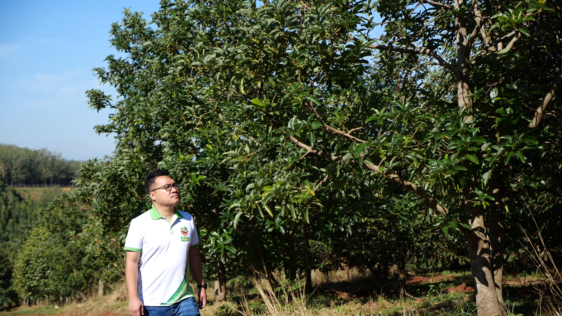 du hoc sinh phap anh 1