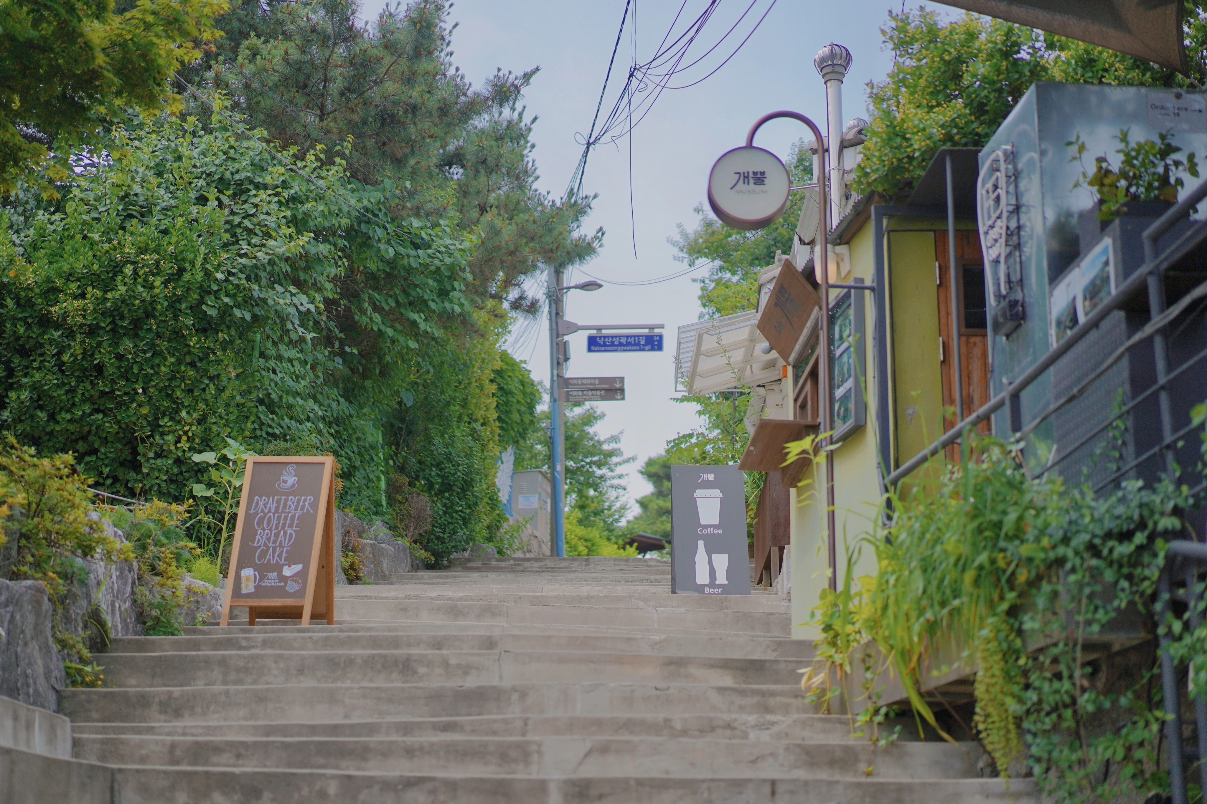 du lich han quoc anh 11