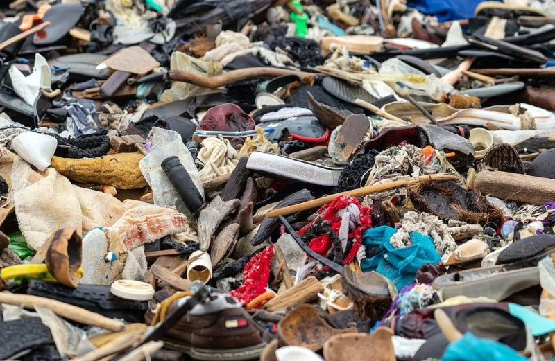 thoi trang nhanh anh 3