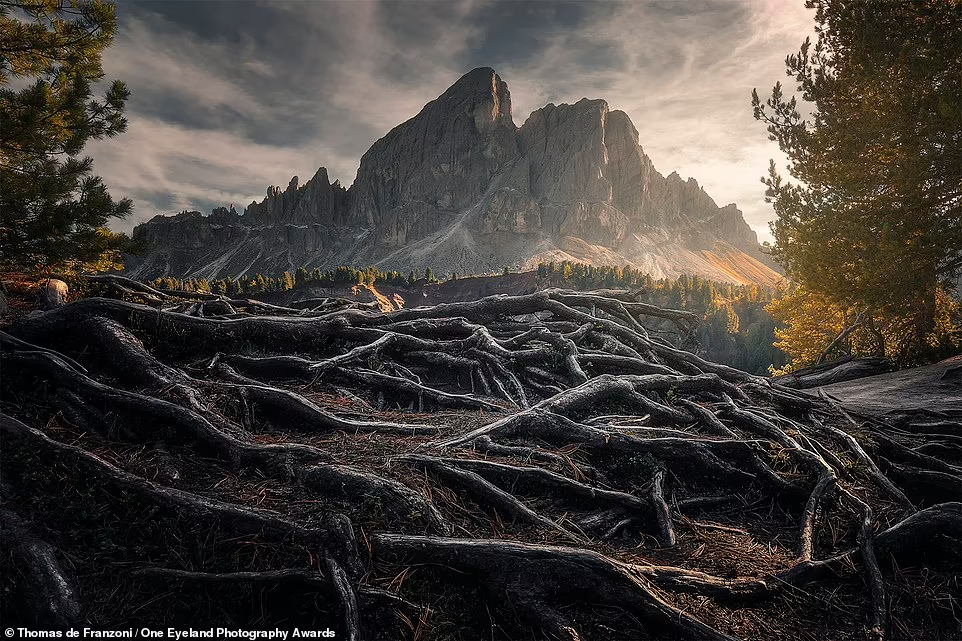 ảnh thiên nhiên ảnh 5 anh thien nhien anh 5