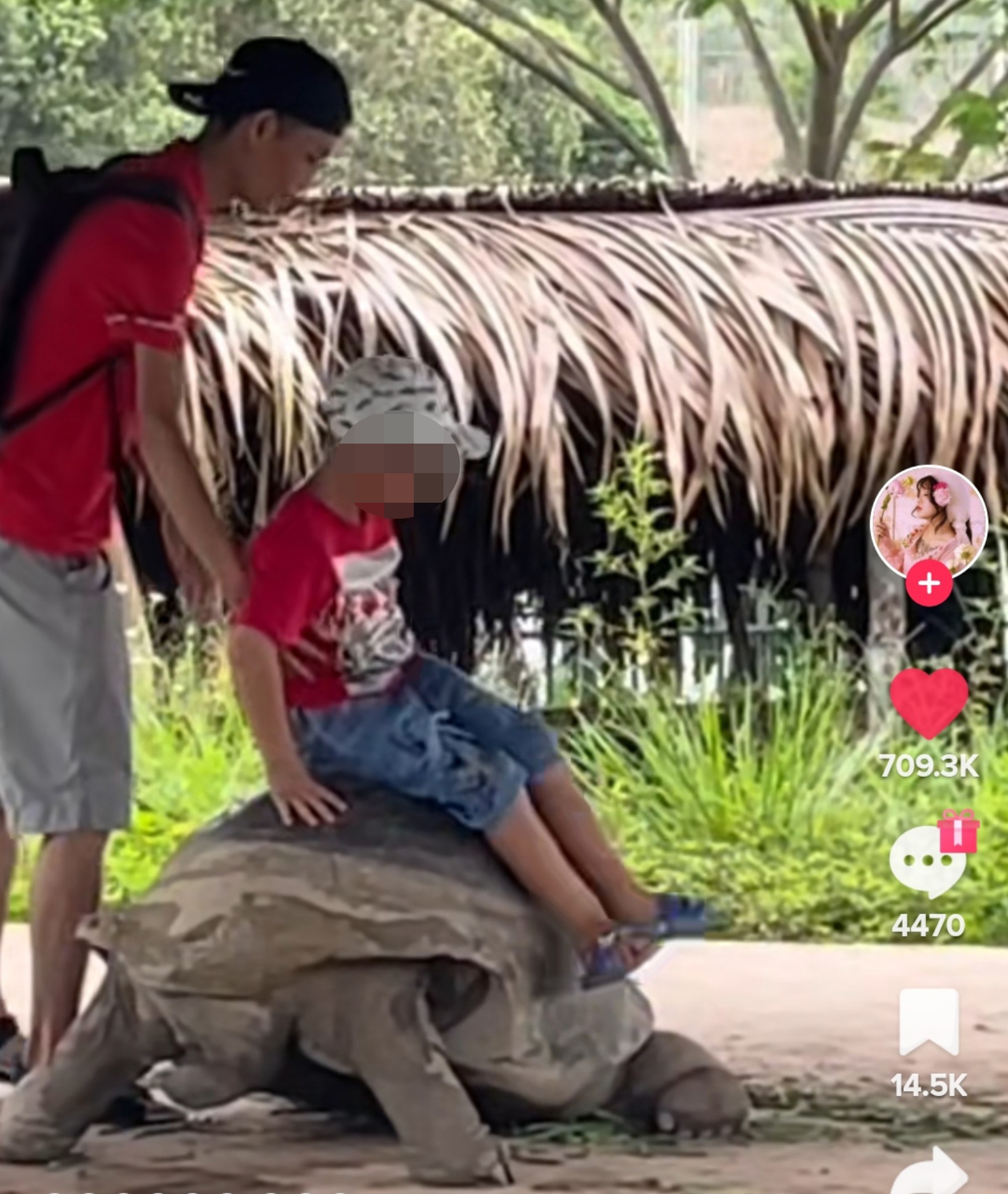 gia dinh ngoi len lung rua anh 1