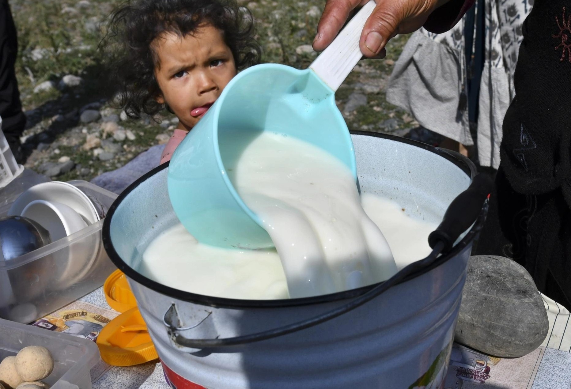 Loai sua ngua thuong hang o vung nui cao 2.500 m hinh anh
