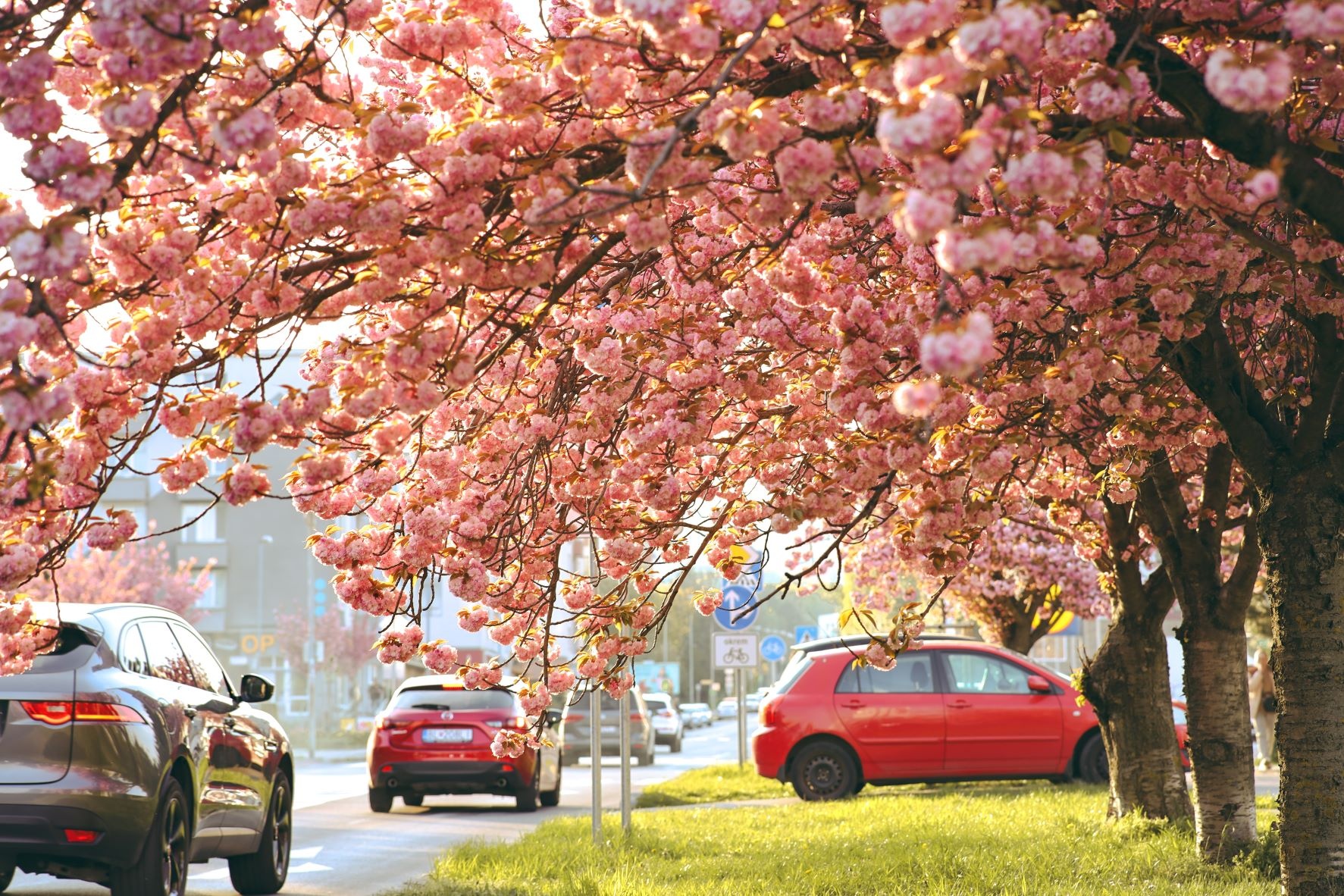 du lich nuoc ngoai anh 1