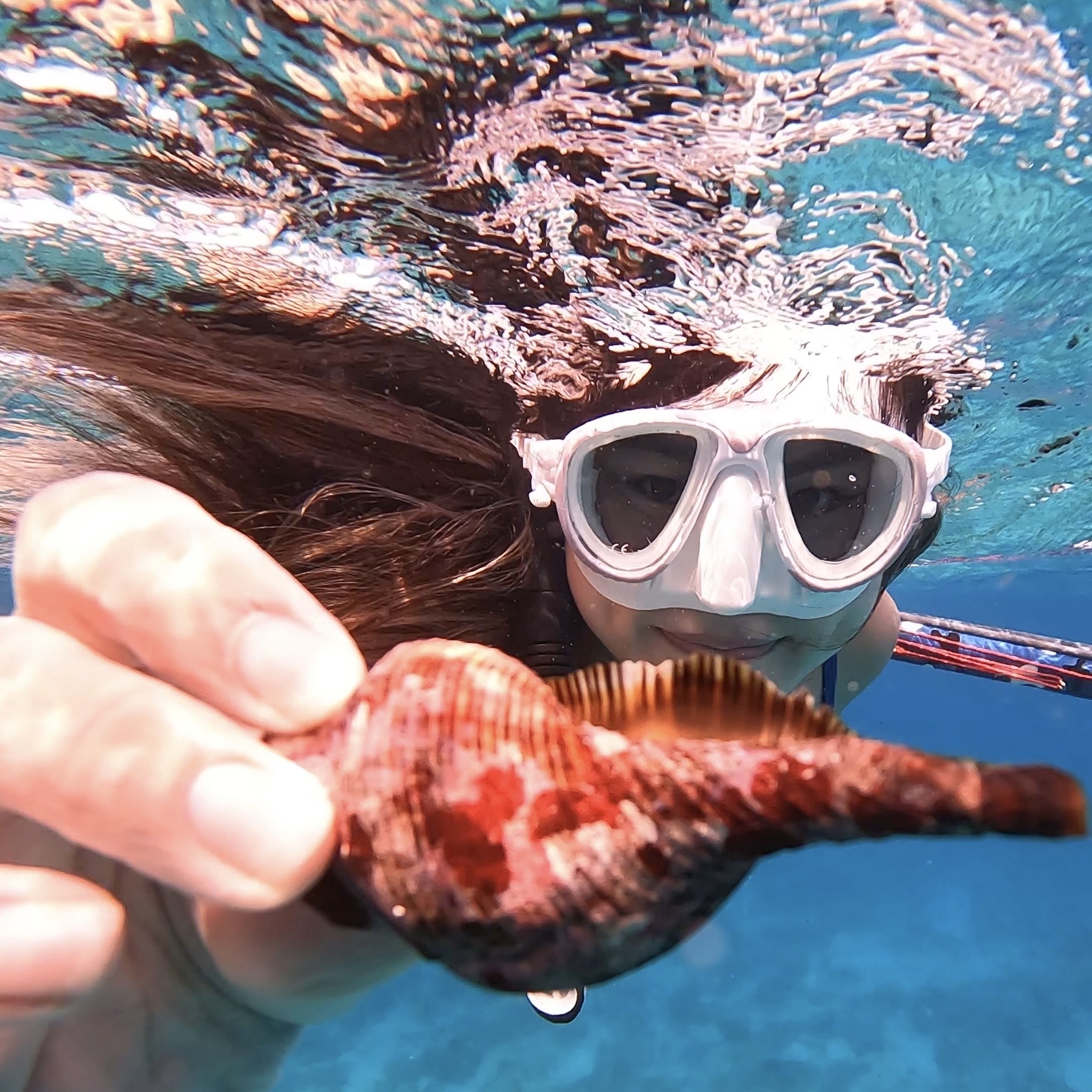 lan bien phu quy anh 5