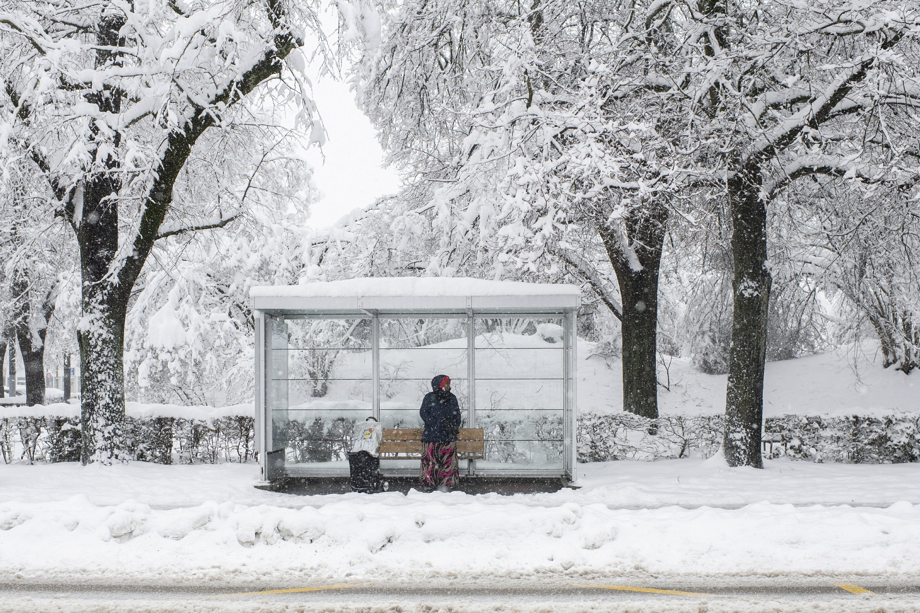 du lich thuy si anh 5