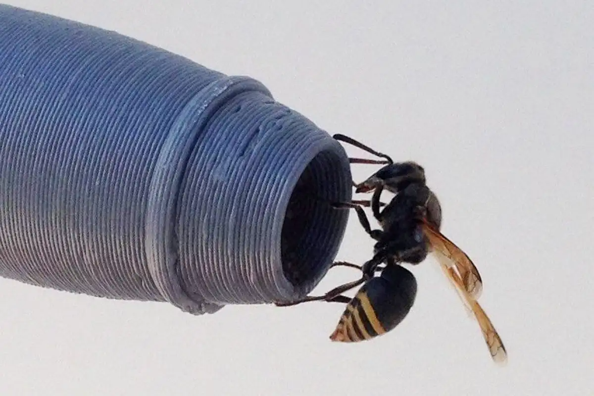 tai nan hang khong anh 2