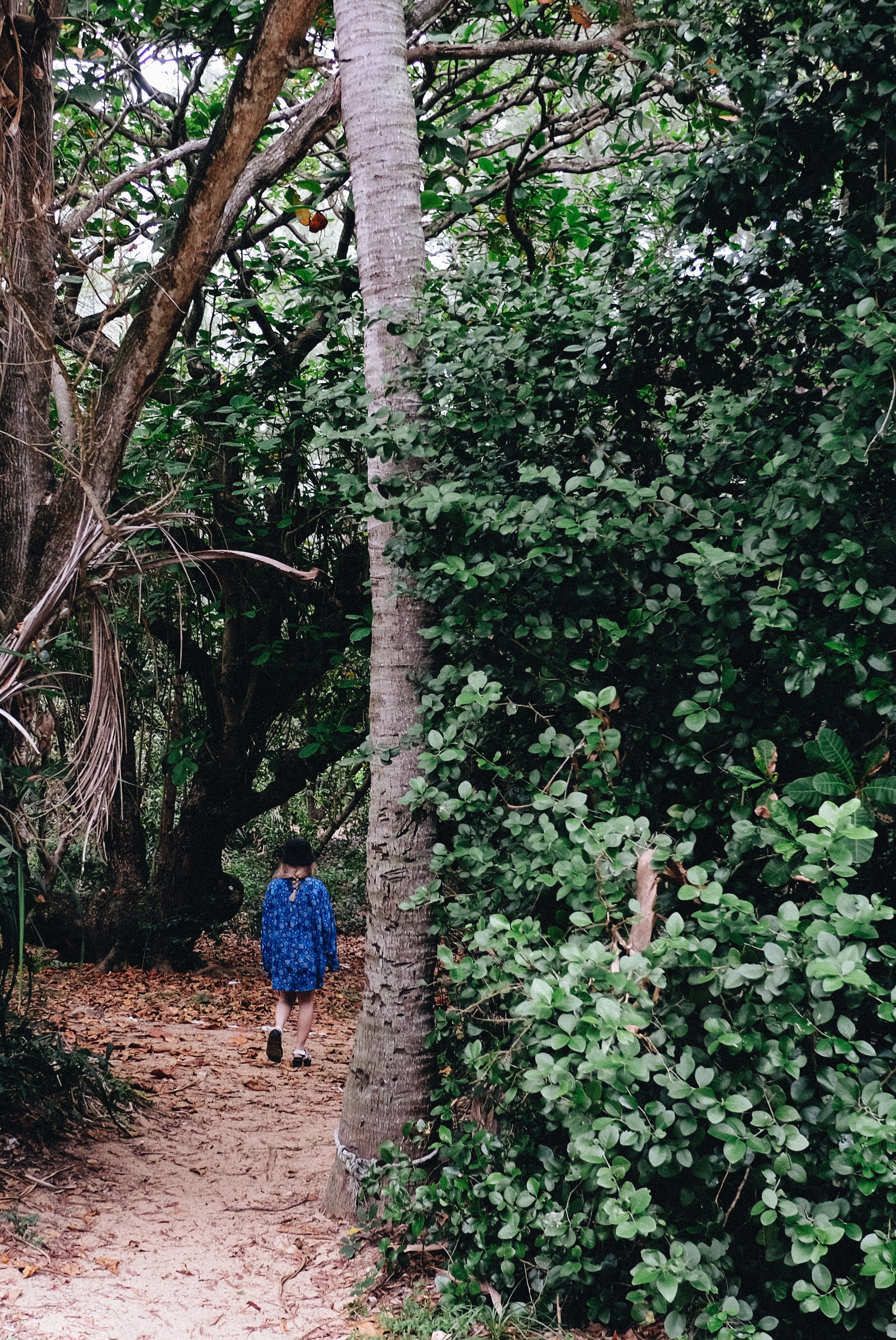 cu lao mai nha anh 3