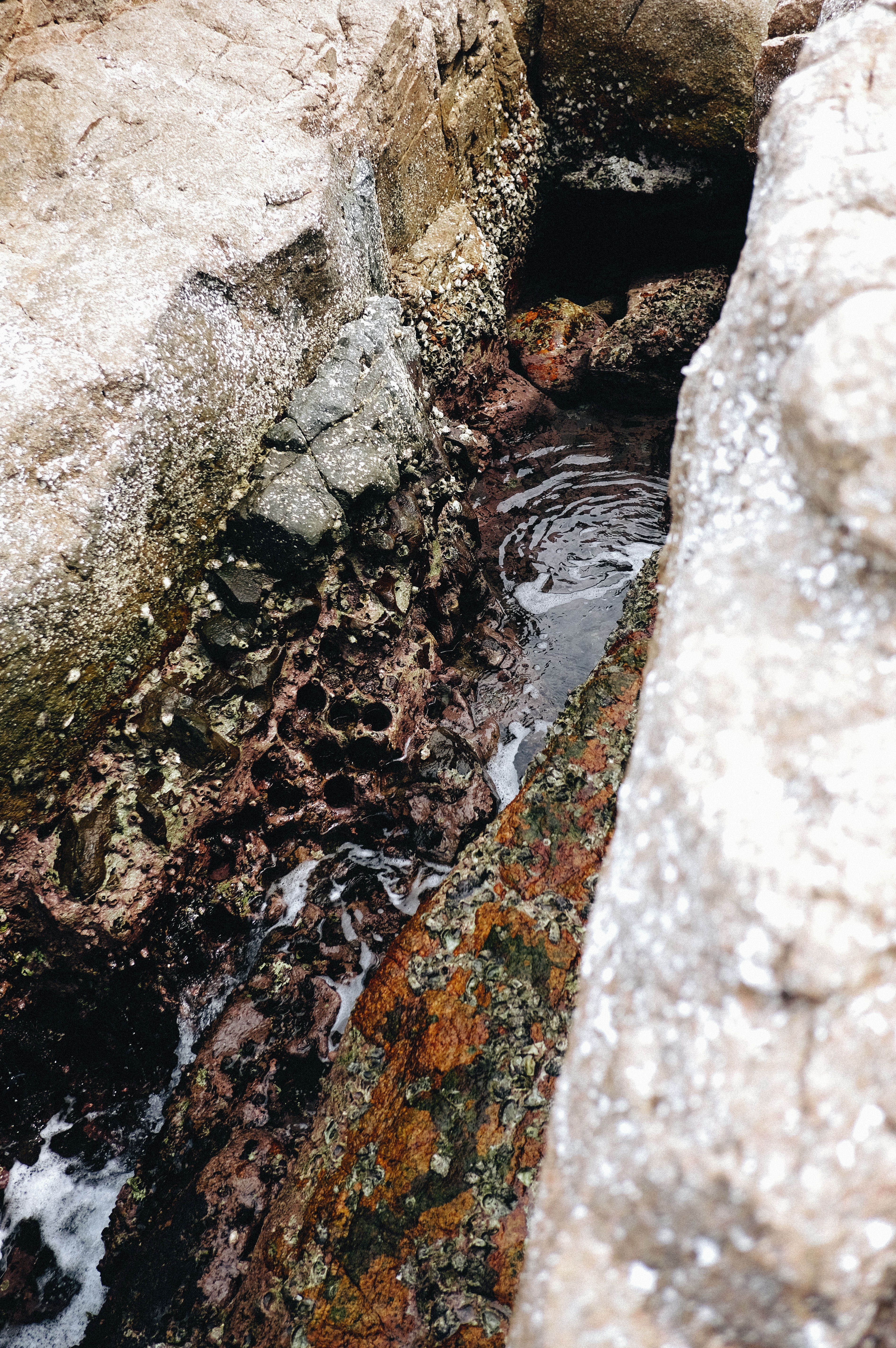 cu lao mai nha anh 4