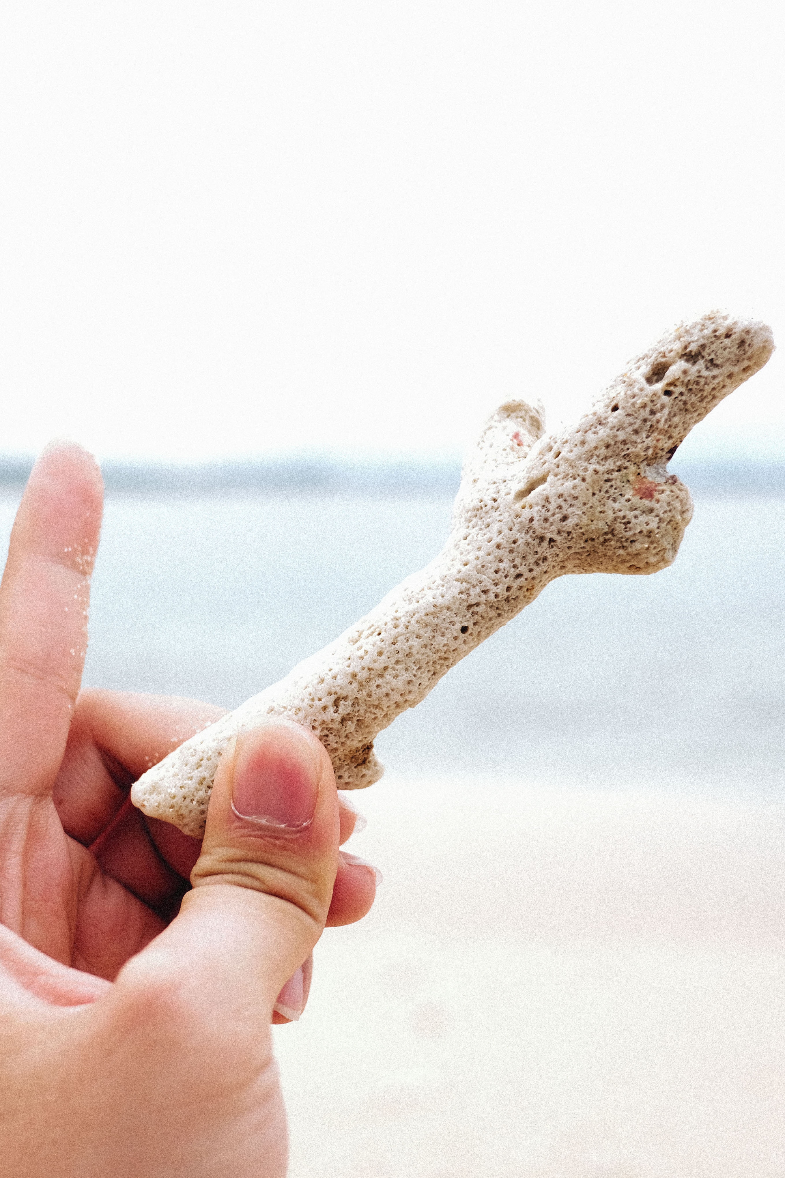 cu lao mai nha anh 5