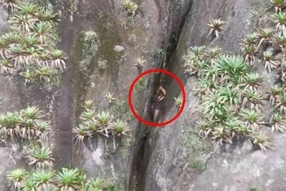 Giai cuu nguoi dan ong khoa than ket trong khe nui o Brazil hinh anh