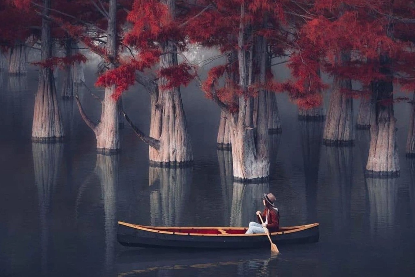 Khu rung do bi an o Nga hinh anh