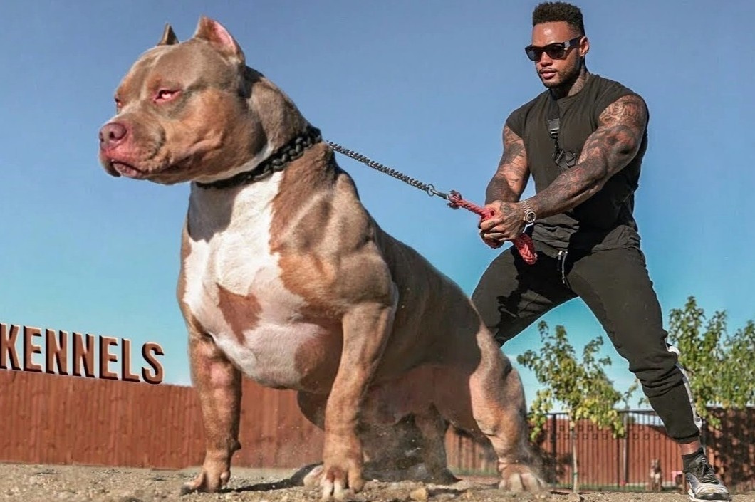 Canada cam cho tu hon 100 nuoc hinh anh