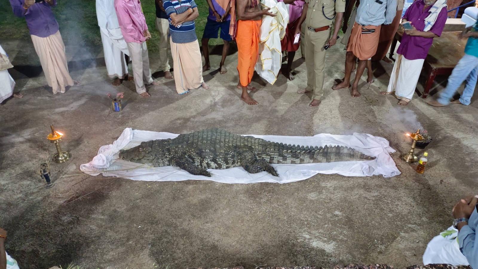 ca sau an chay anh 2