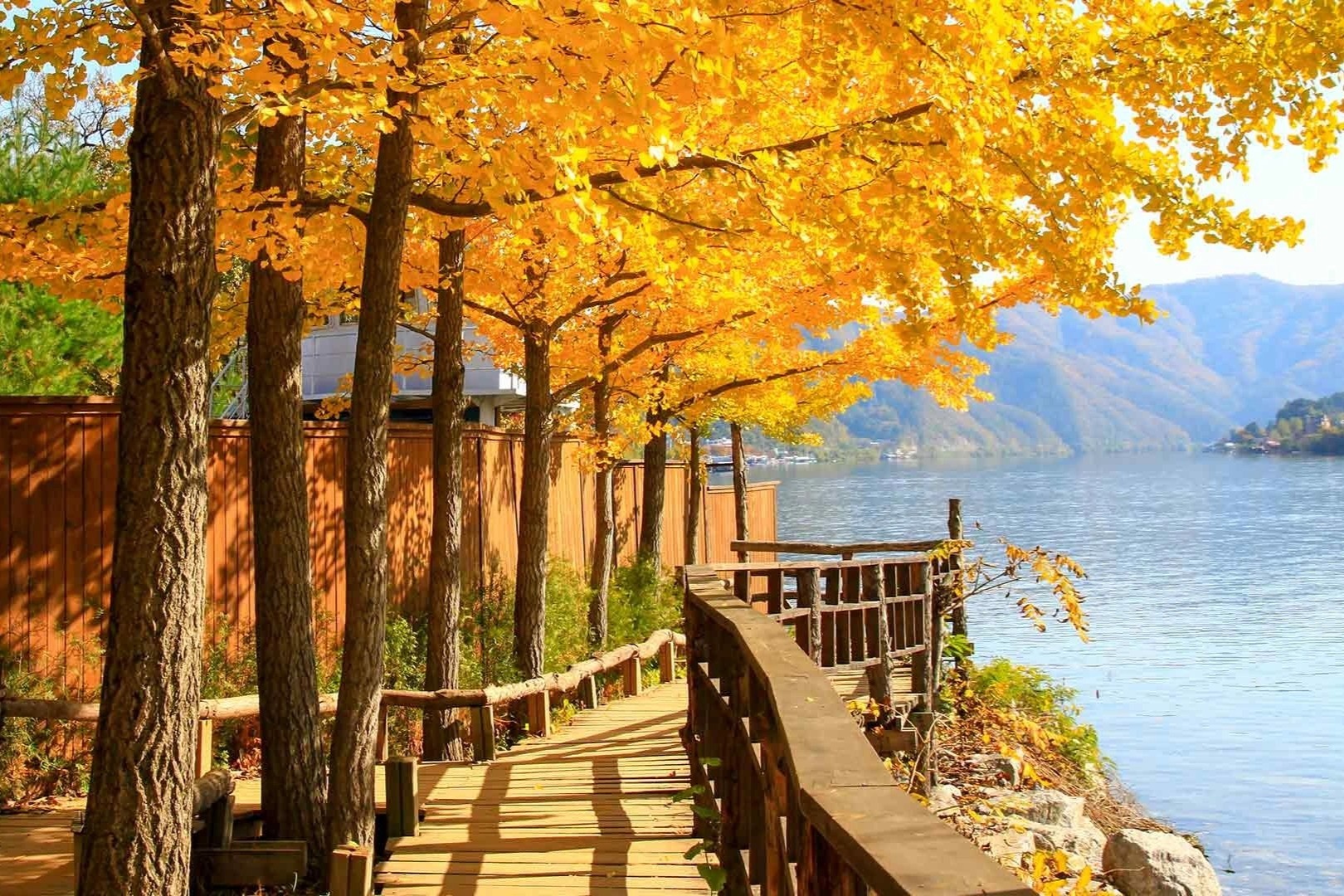 Gangwon van mien thi thuc cho du khach Viet Nam hinh anh