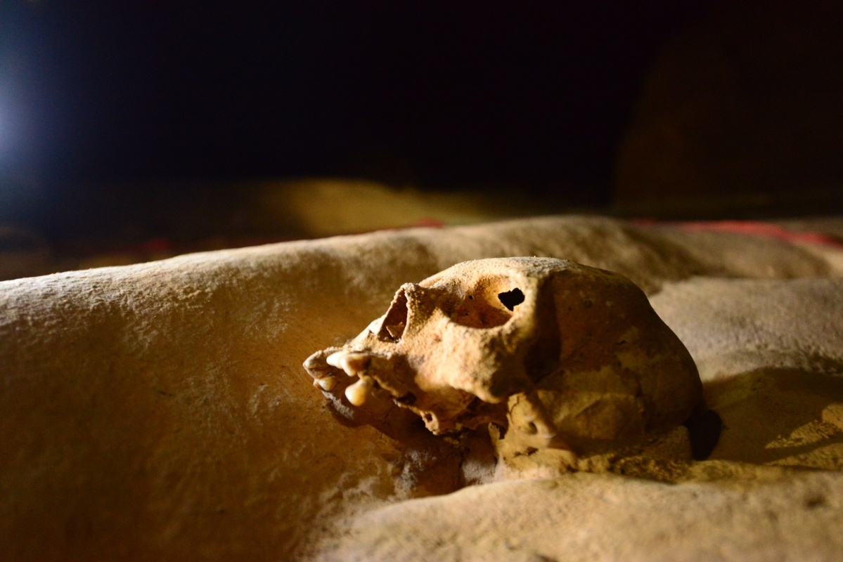 du lich the gioi anh 8