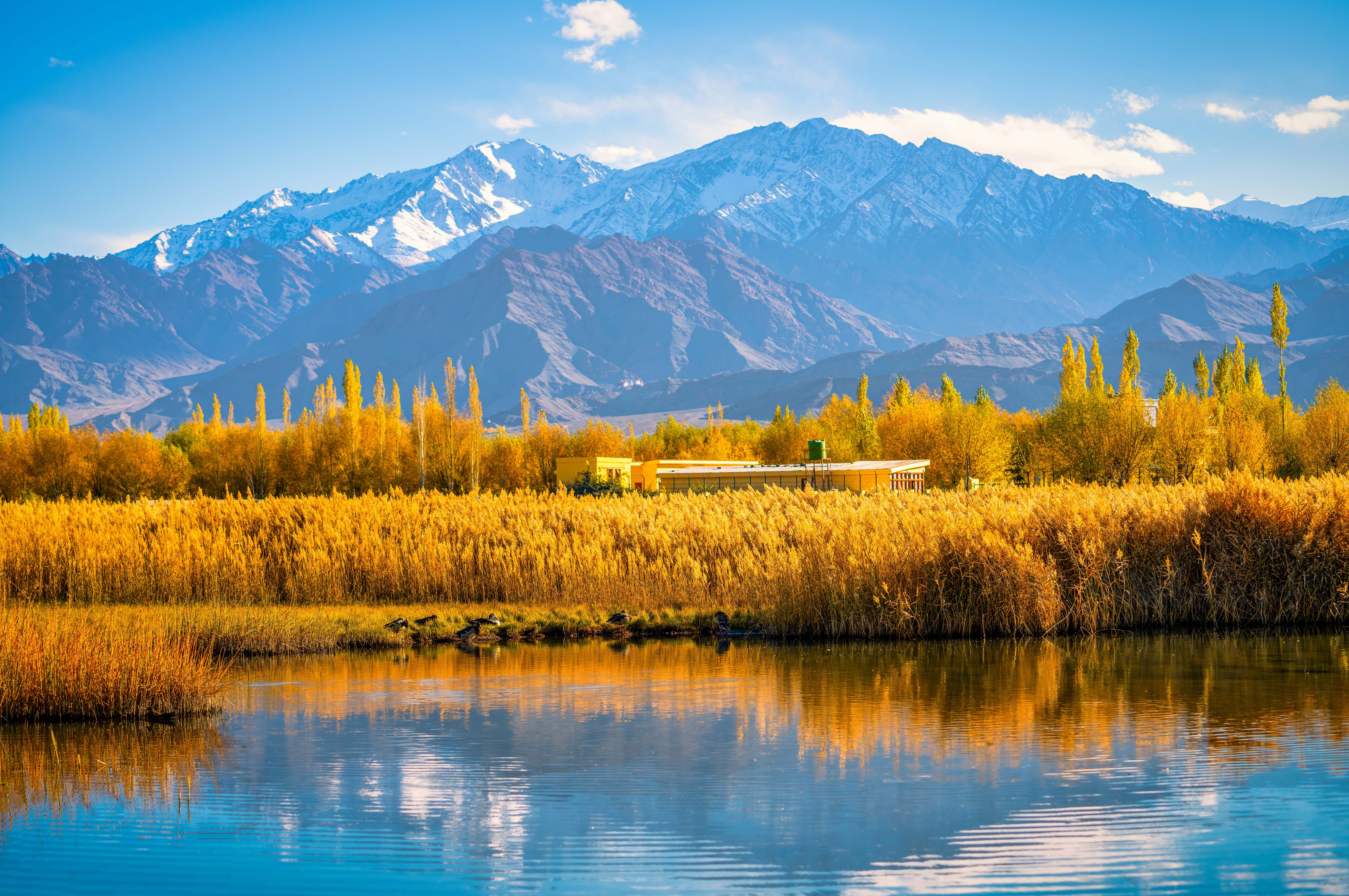 du lich ladakh anh 4