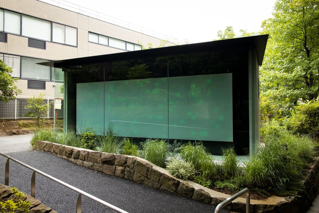 nhà vệ sinh ảnh 12 nha ve sinh anh 12