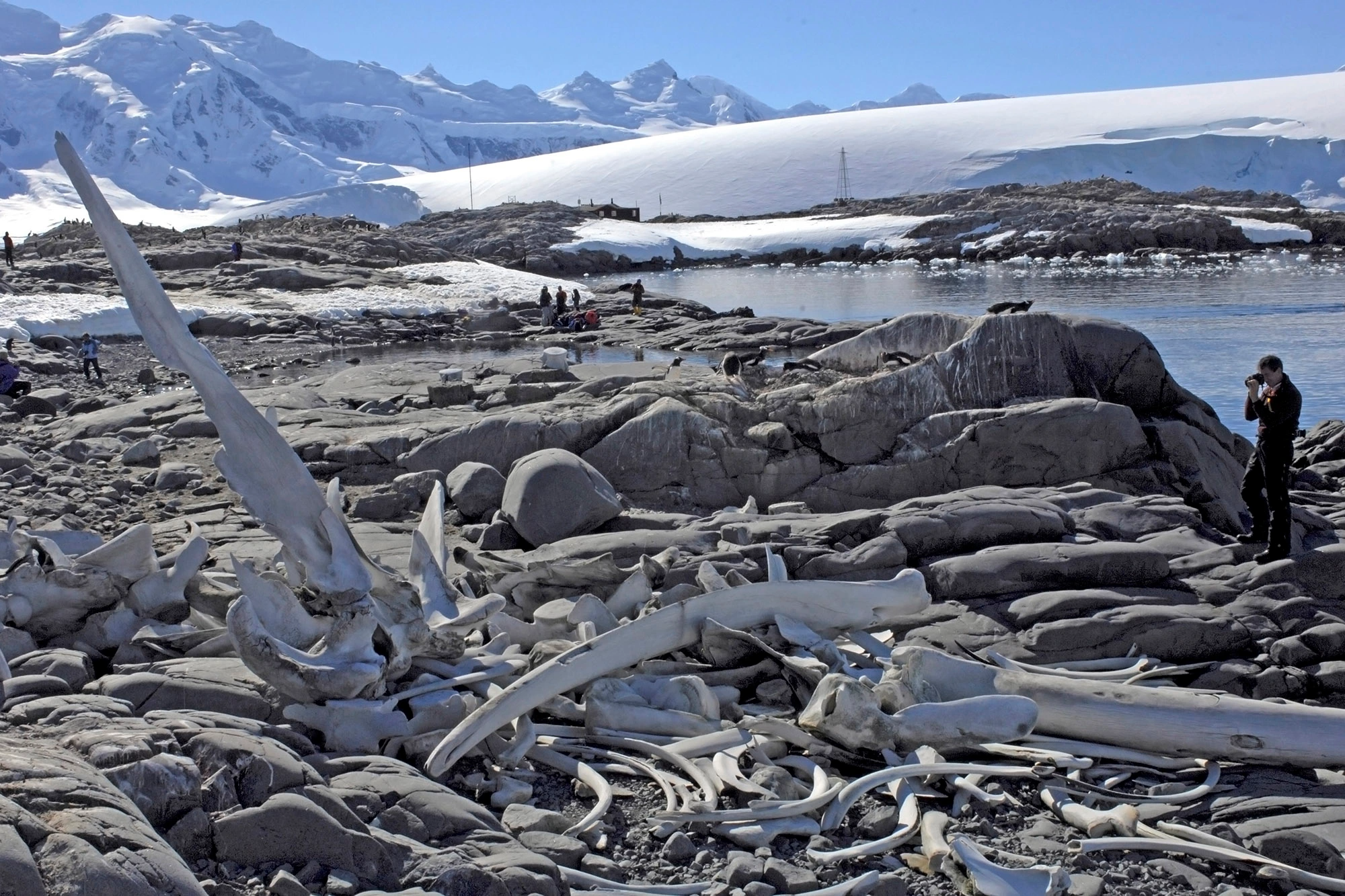 du lich nam cuc anh 5