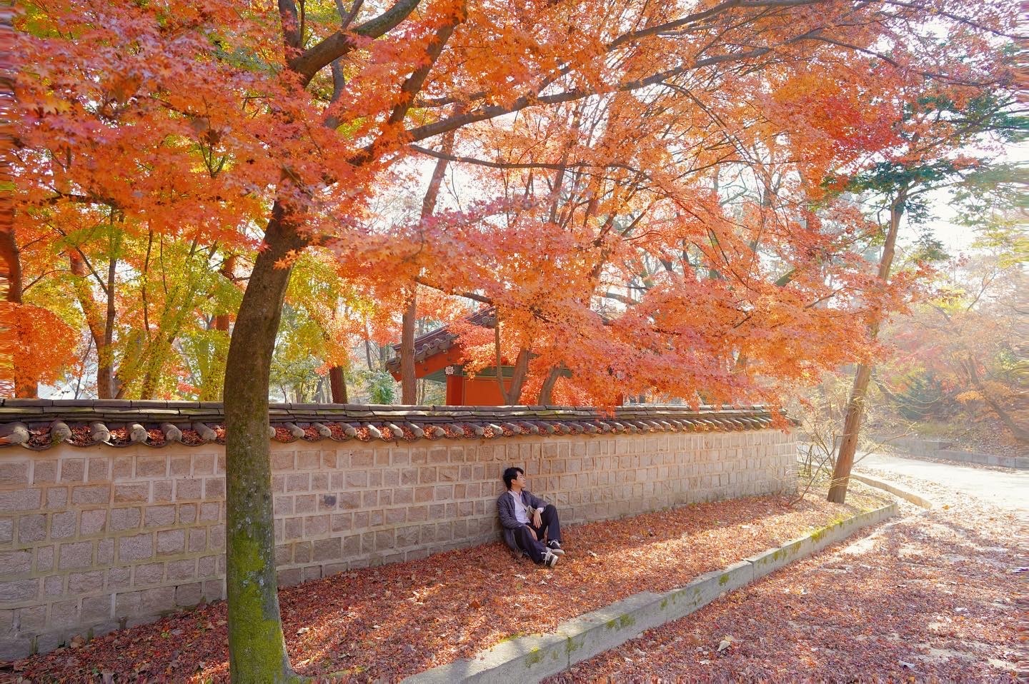 cung dien o seoul anh 1