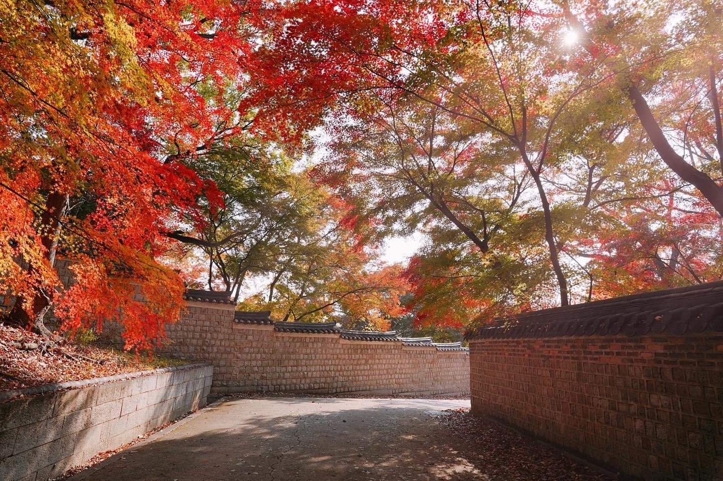 cung dien o seoul anh 8