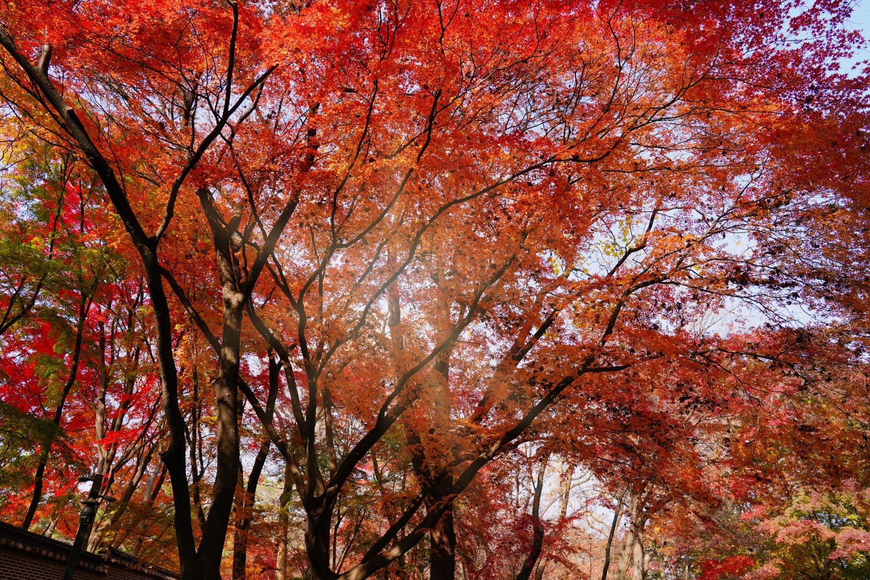 cung dien o seoul anh 6