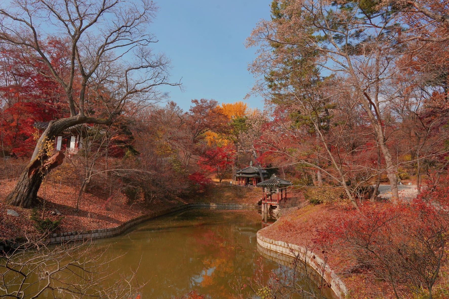 cung dien o seoul anh 5