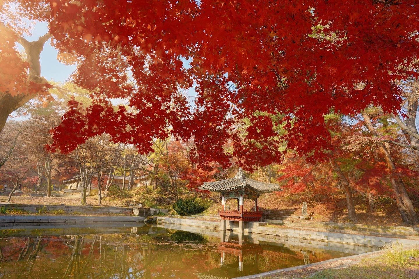 cung dien o seoul anh 3