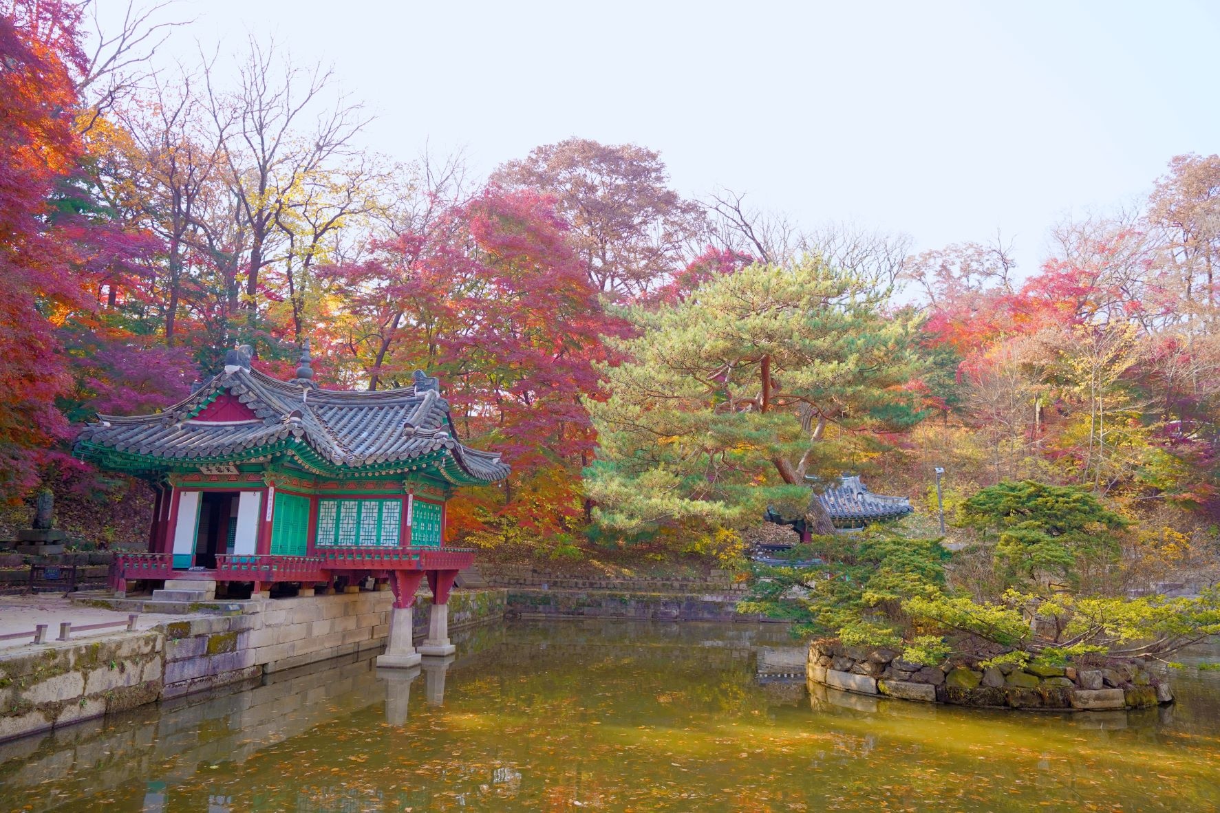 cung dien o seoul anh 2