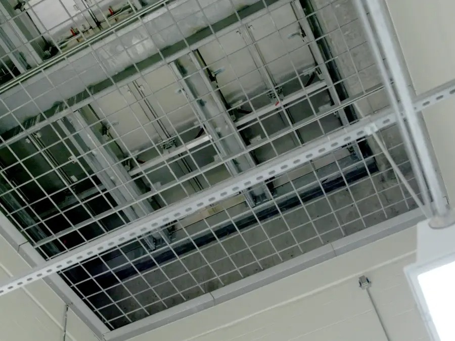 bao quan xac uop anh 6