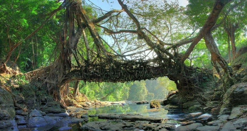làng sạch nhất châu á ảnh 4 lang sach nhat chau a anh 4