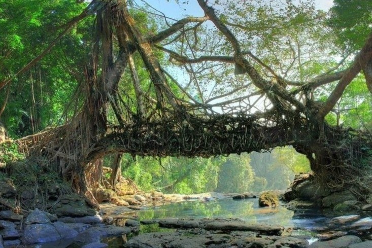 Lang sach nhat chau A nam o An Do hinh anh