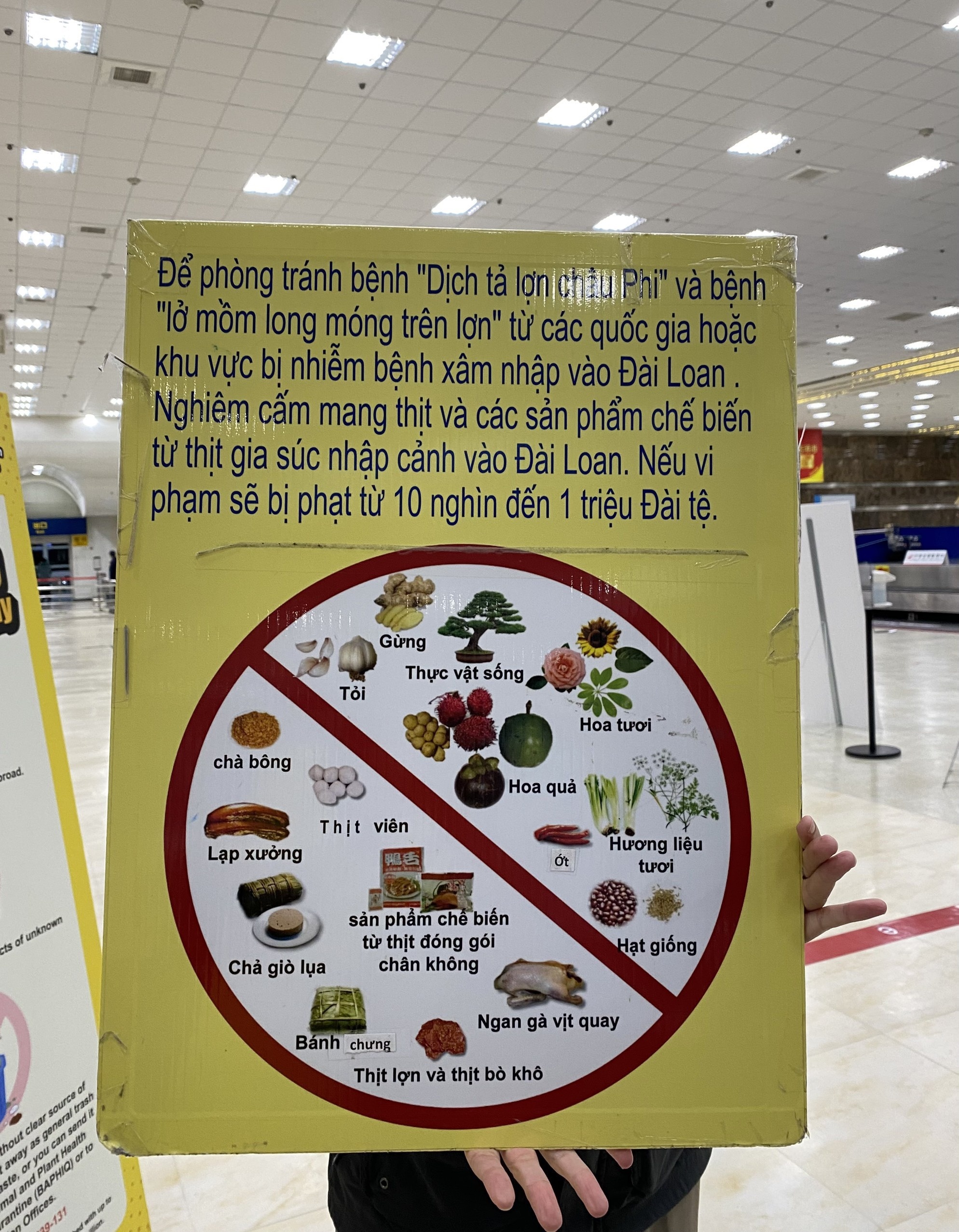 du lich dai loan anh 1