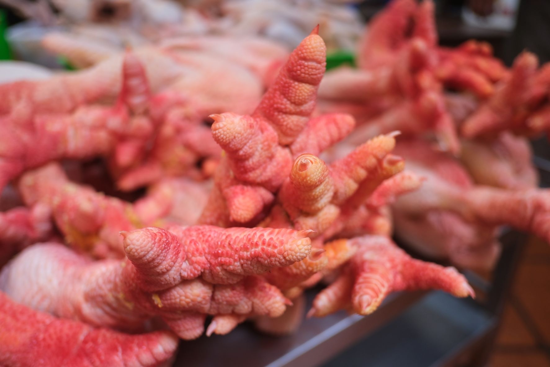 Ga Dong Tao chay hang, dat moi khong co de ban hinh anh